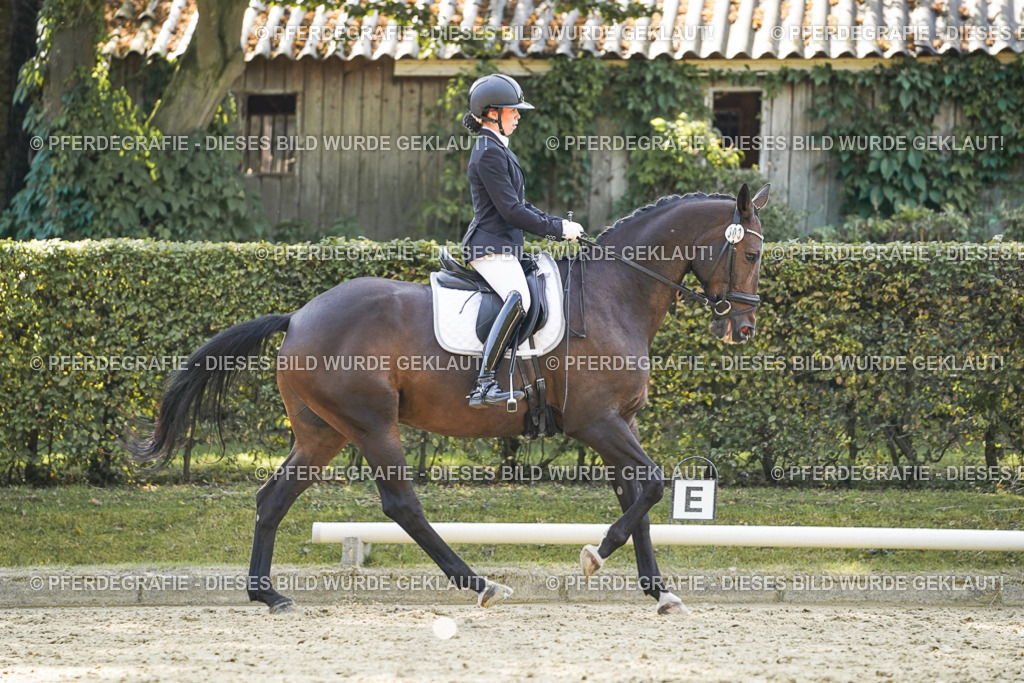 DSC06857 | Pferdegrafie