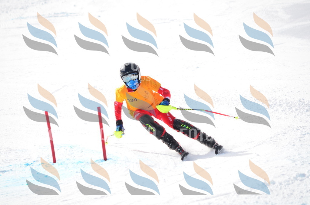 C8333 | holidayphoto