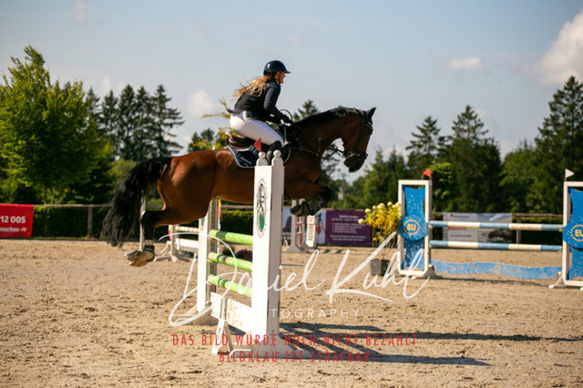 IMG_5363 | Turniersportfotografie; Pferdefotografie; Dressurfotografie