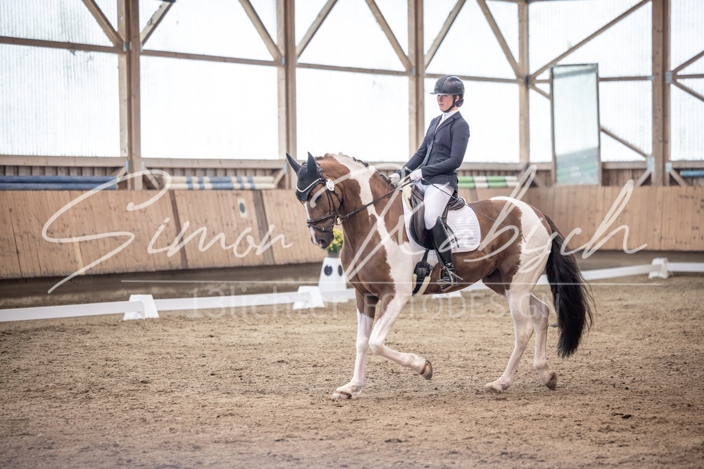 20251011-_3LI0031 | Tierfotografie Pferde, Hunde, Katzen, Haustiere.
Turnierfotografie Reitturniere, Reiten, Springreiten, Dressur in Hanau, dem Main-Kinzig-Kreis und dem Rhein-Main- Gebiet um Frankfurt