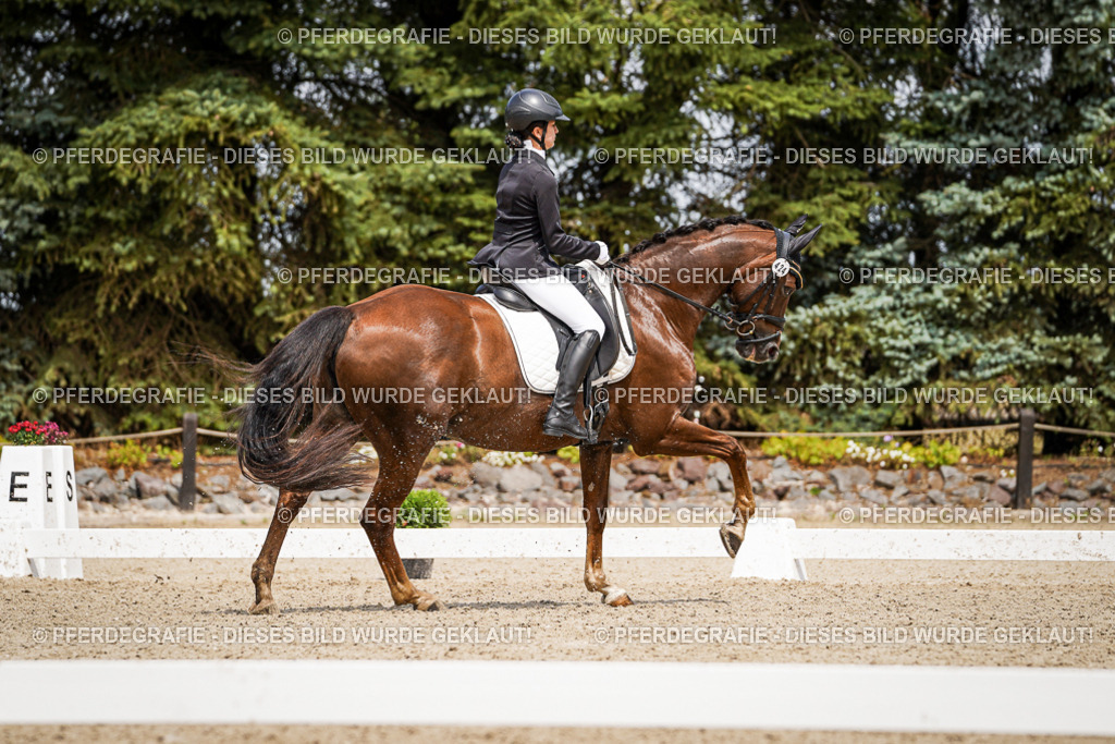 DSC03725 | Pferdegrafie