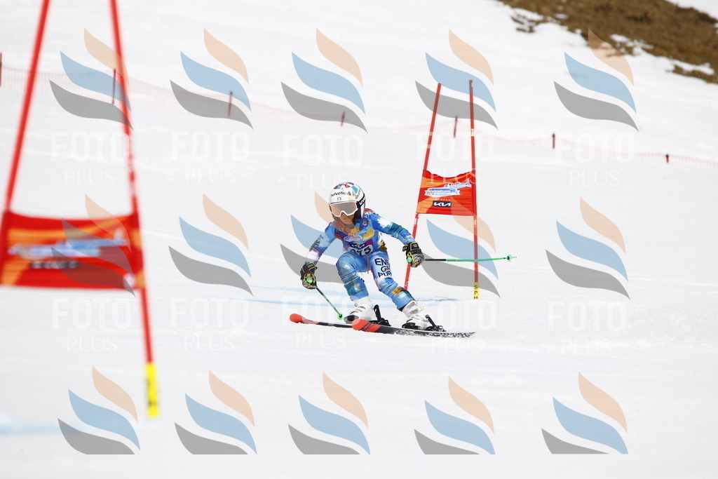 _U3G6886 | holidayphoto