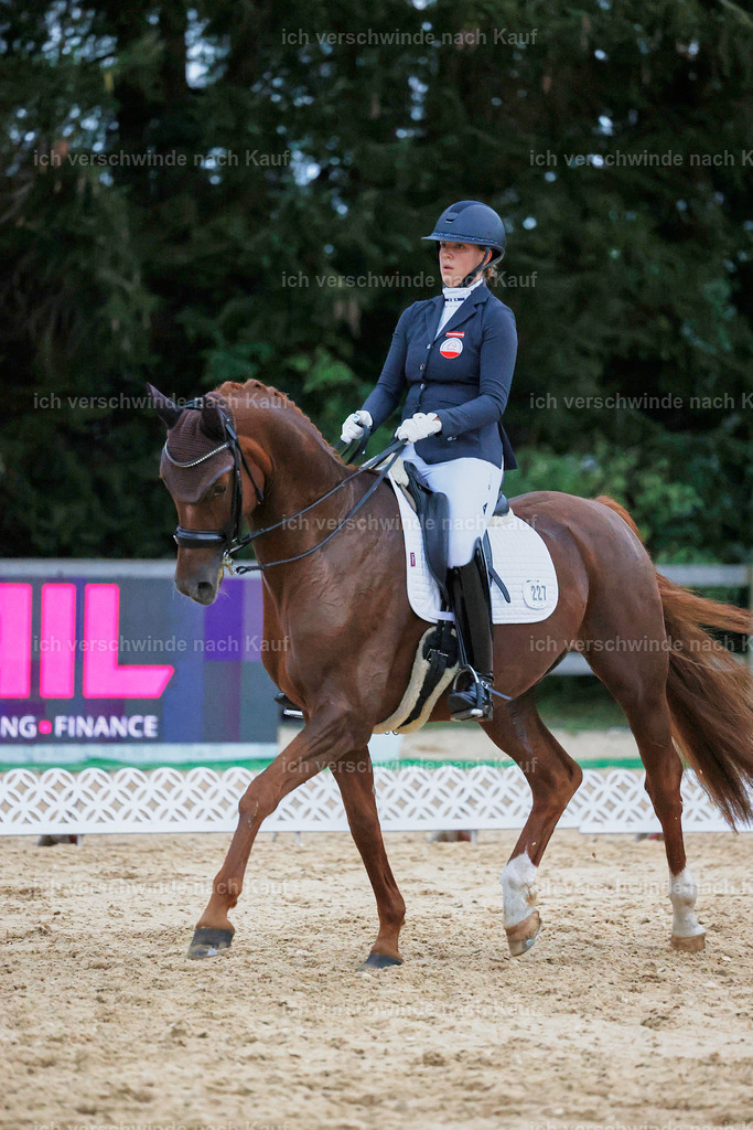 04_2-227-Dressur M__ -StoibPH-3007 | working equitationturnier fotograf videograf stoibphotography marixx film working equitation deutschland reitsport turnierfotografie eventfotografie equestrian events