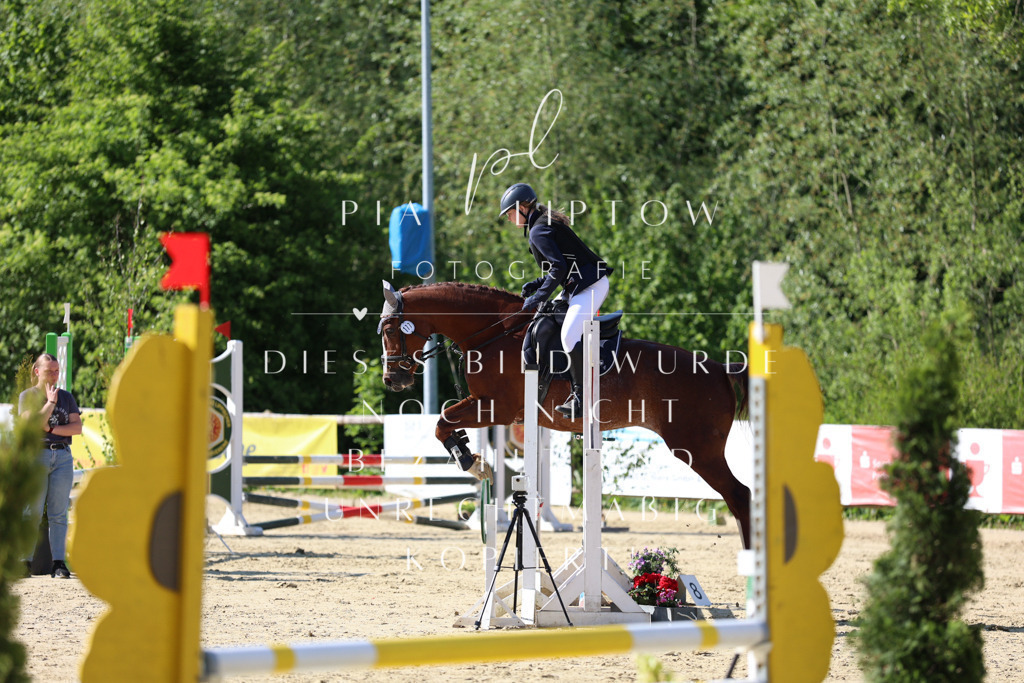 IMGS4946 | pl-fotografie