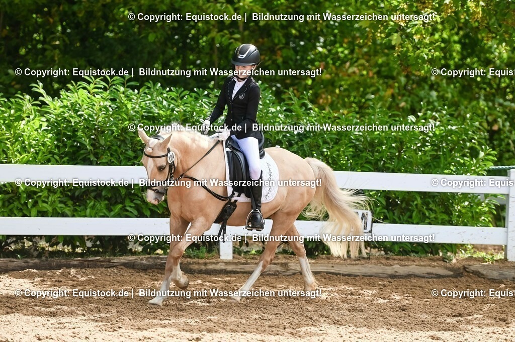 20230716_10-3_Reiter-WB Schritt - Trab - Galopp_0119 | equistock