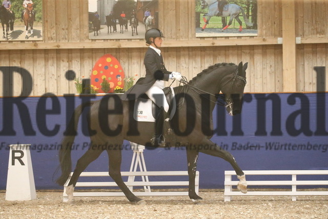 Turnier_Zeutern_2022_Prfg.Nr.02_Kurz-GrandPrix_Petra van Esch_Fiftyfifty 3 (1) | Alle Fotos der Reiterjournal Fotografin Doris Matthaes im Reiterjournal Online-Fotoshop. - Realisiert mit Pictrs.com