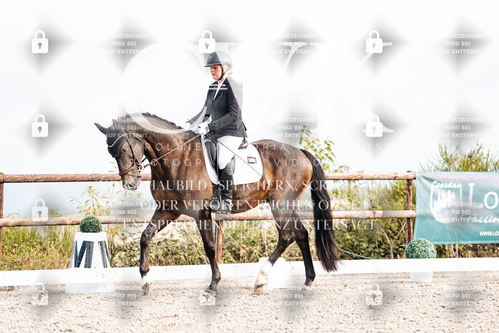 CK901282 | Turnierfotografie Pferdefotografie Trier Rheinland-Pfalz Pferdesport Reitsport Tierfotografie Sportfotografie Pferdevideo Pferdevideografie Equestrianvideography equestrianphotography  - Realisiert mit Pictrs.com