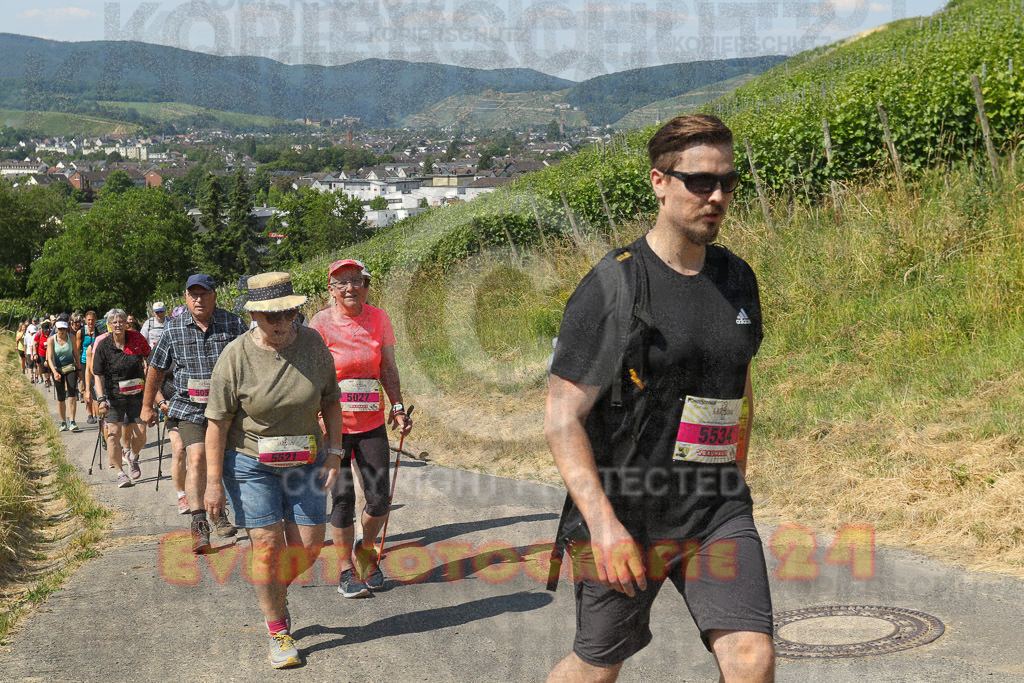 230617_1058_EV9_7504 | Sportfotografie im Rhein-Sieg Kreis, Köln, Bonn, NRW, Rheinland Pfalz, Hessen, etc. Unser Tätigkeitsfeld umfasst den Laufsport vom Volkslauf über den Marathon, Duathlon, Triathon bis zum Ultralauf wie Kölnpfad Ultra oder Schindertrail.