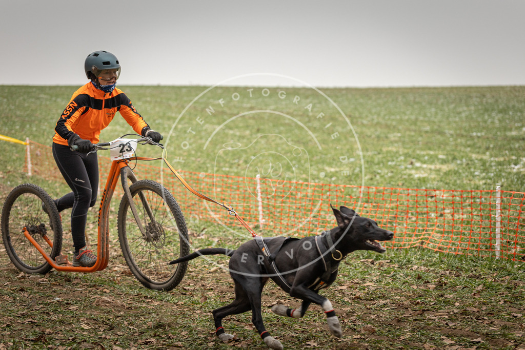 Pfotenfotografie_DV3A3767 | Hundefotografie, Tierfotograf, Pfotenfotografie, Fotoshooting Hund, Hunde Portrait, Hundesport, Hundeportraits, Heideshooting, Hunde, Sportfotograf, Hundefotograf, Turnierhundsport, THS,  - Realisiert mit Pictrs.com