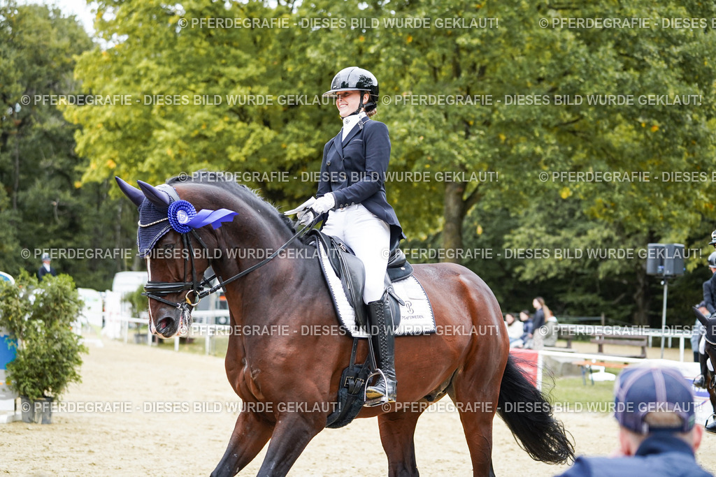 DSC02482 | Pferdegrafie