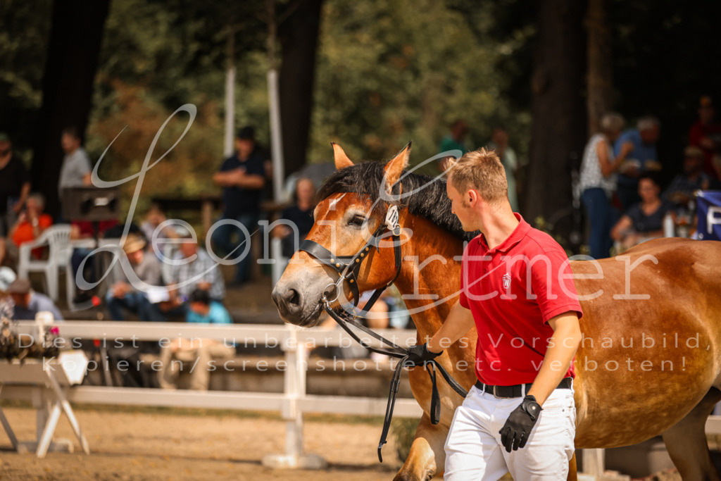 2.Sa00004 | Leoni Ertmer Photography - Realisiert mit Pictrs.com