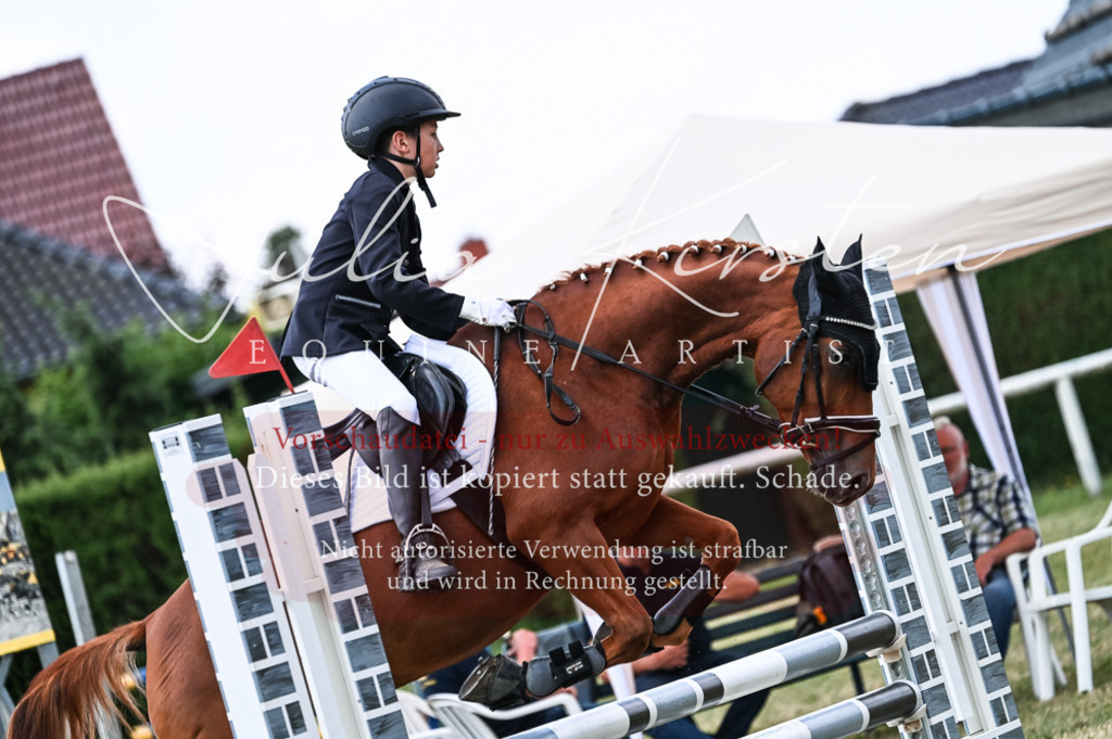 DSC_9076 | Pferde- und Turnierfotografie in Westsachsen. Pferdeportraits, Auftragszeichnungen und intuitive Kunst.