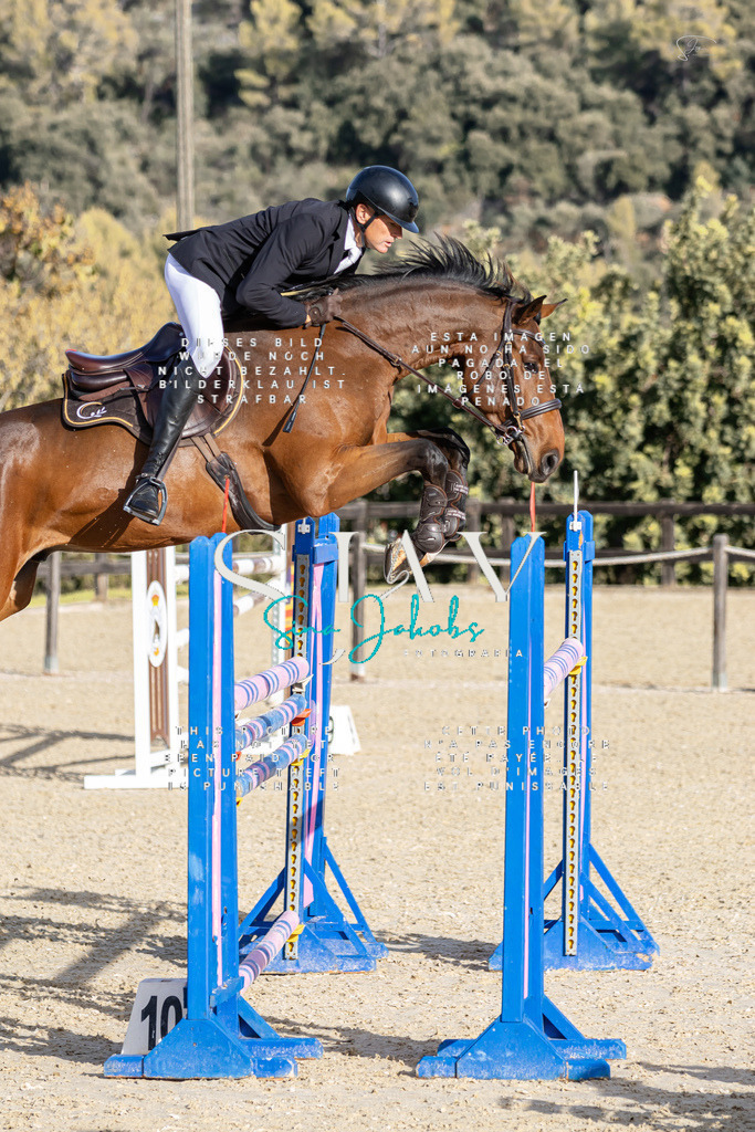 IMG_0374 | s-jay-photography - Realisiert mit Pictrs.com