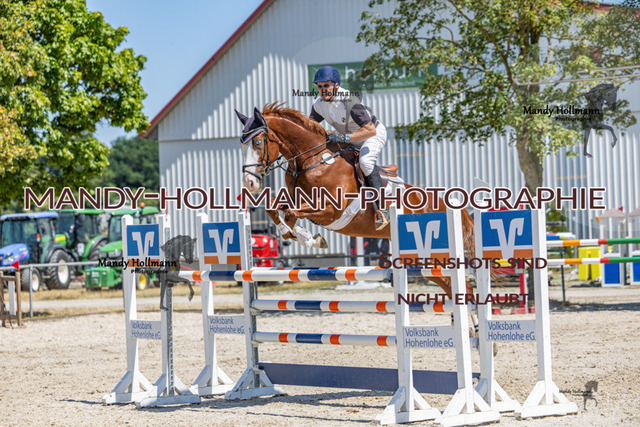 26-7-24 SPF m++-394 | mandyhollmannphotographie