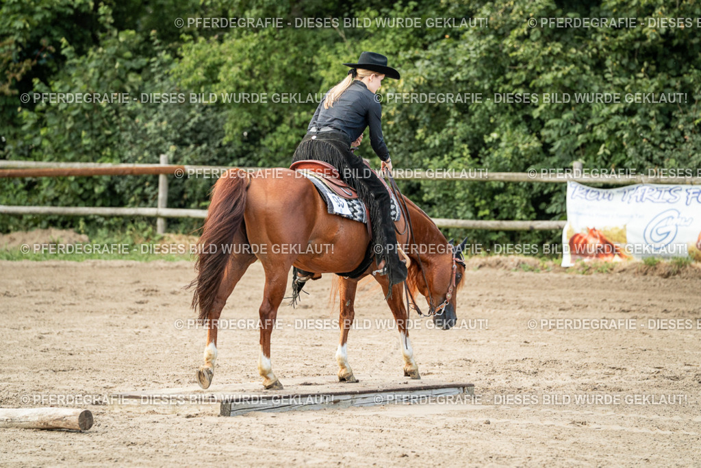 DSC06050 | Pferdegrafie