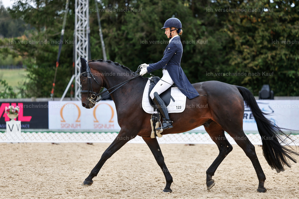 11-123-Dressur S___-StoibPH-1382 | working equitationturnier fotograf videograf stoibphotography marixx film working equitation deutschland reitsport turnierfotografie eventfotografie equestrian events