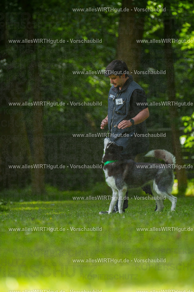 @allesWIRTHgut_Tierfotografie - www.allesWIRTHgut.de - 7R500886 | Professionelle Tierfotografie in Mönchengladbach von Daniel Wirth (allesWIRTHgut). Liebevolle & natürliche Bilder von Hunden & Katzen für unvergessliche Erinnerungen.