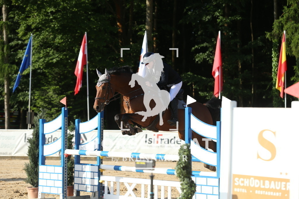 DL2Q0168 | Willkommen bei Brunnmayr - Design & Fotografie – Ihrem Spezialisten für Reitturniere und Pferdeveranstaltungen in Oberösterreich, Salzburg und Bayern! Seit über 17 Jahren sind wir leidenschaftlich dabei.