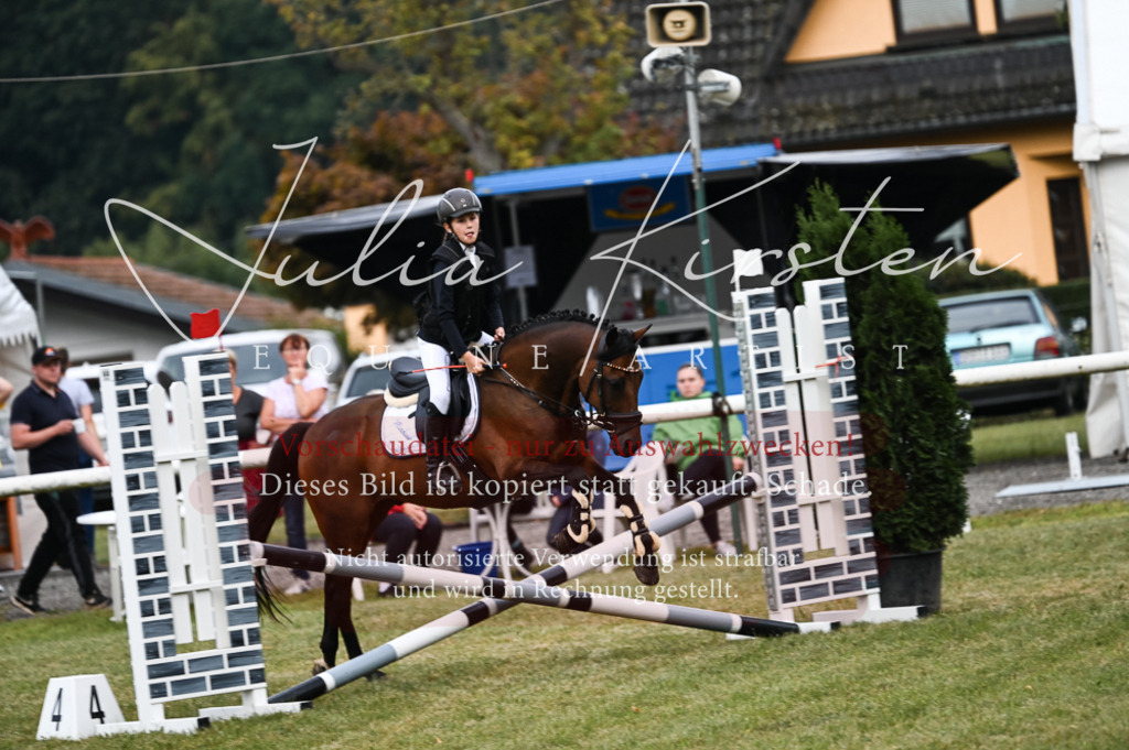 DSC_5441 | Pferde- und Turnierfotografie in Westsachsen. Pferdeportraits, Auftragszeichnungen und intuitive Kunst.