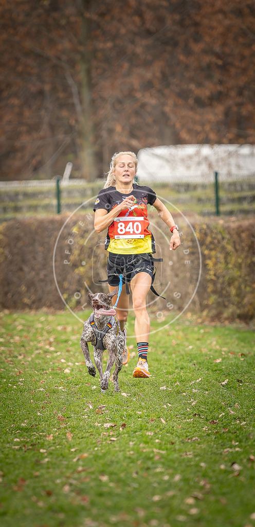 CaniXpix_DV3A6210 | Hundefotografie, Tierfotograf, Pfotenfotografie, Fotoshooting Hund, Hunde Portrait, Hundesport, Hundeportraits, Heideshooting, Hunde, Sportfotograf, Hundefotograf, Turnierhundsport, THS,  - Realisiert mit Pictrs.com
