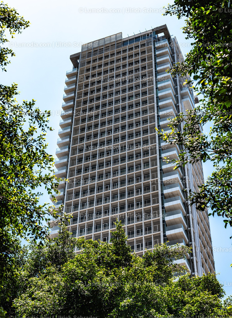 10972-10176 - Tel Aviv - Rothschild Boulevard | Stockfoto und Bilderpool mit Bildmaterial aus Deutschland, dem Harz, Halberstadt, Quedlinburg, Wernigerode und weltweit. Qualitativ hochwertige und professionelle Fotos anschauen und kaufen. - Realisiert mit Pictrs.com