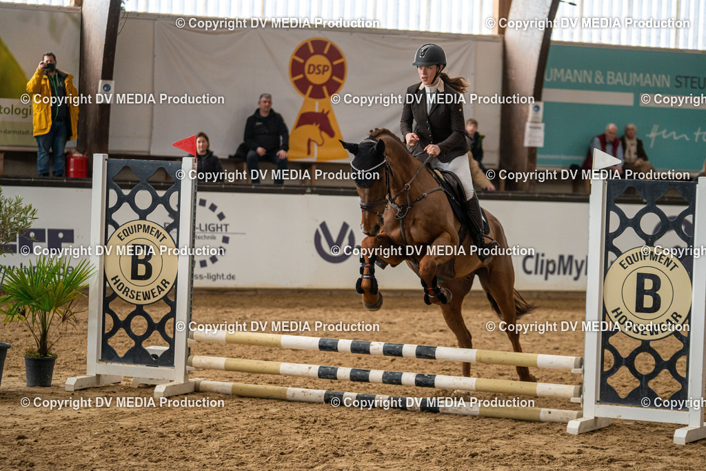 Kranichstein Tag 2-736 | dv-media-shop - Realisiert mit Pictrs.com