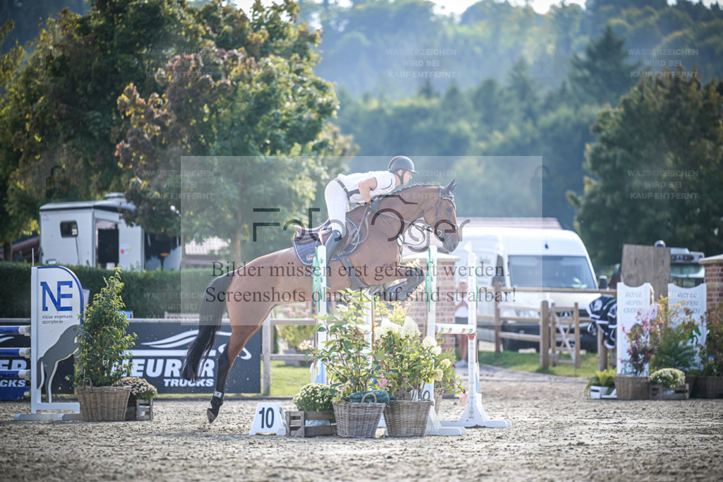 DOS_0291 | Entdecke hochwertige Reitturnierfotos von Foto Oger. Professionell, emotional und authentisch – jetzt Lieblingsmomente im Shop bestellen. - Realisiert mit Pictrs.com