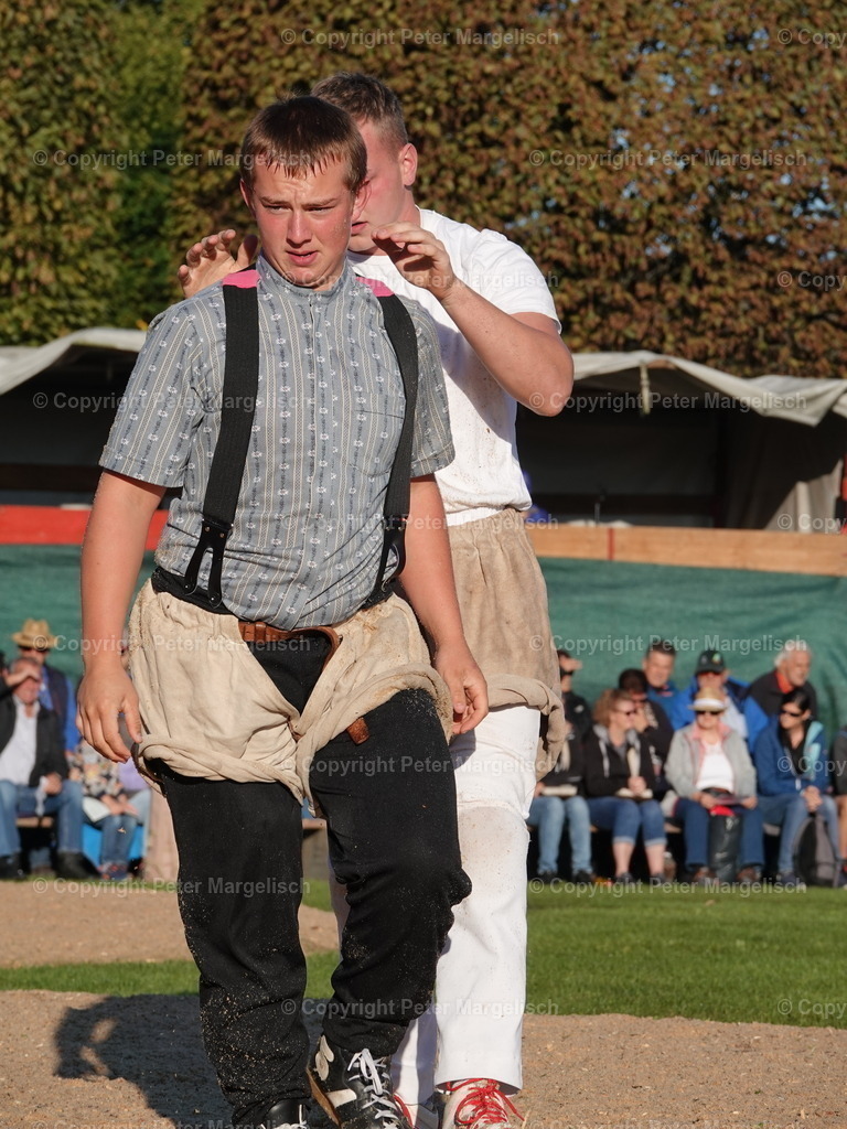 DSC05520 | Schwingen - Realisiert mit Pictrs.com