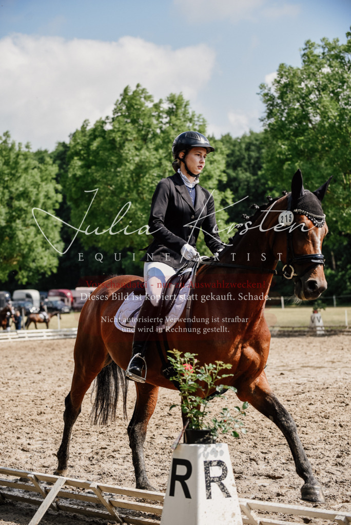 DSC_0478 | Pferde- und Turnierfotografie in Westsachsen. Pferdeportraits, Auftragszeichnungen und intuitive Kunst.