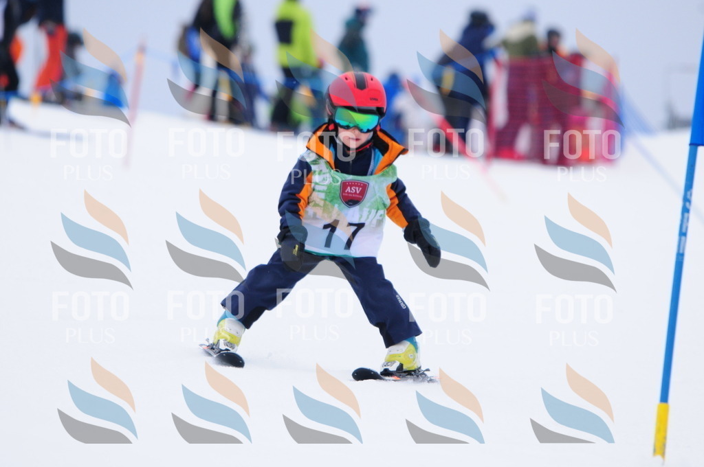 A3383 | holidayphoto