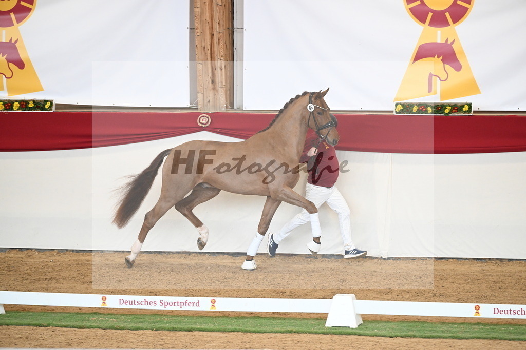 Kat.-Nr. 85 v. Vitalis_Wiens_2250778 | hf-fotografie - Realisiert mit Pictrs.com