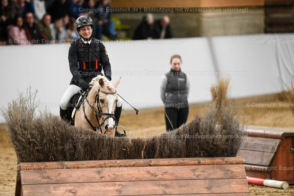 20260307_Hengstvorstellung-Marbach_0400 | equistock