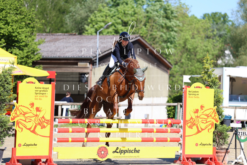 IMGS6597 | pl-fotografie