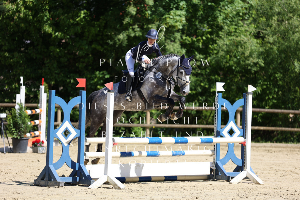 IMGS7442 | pl-fotografie