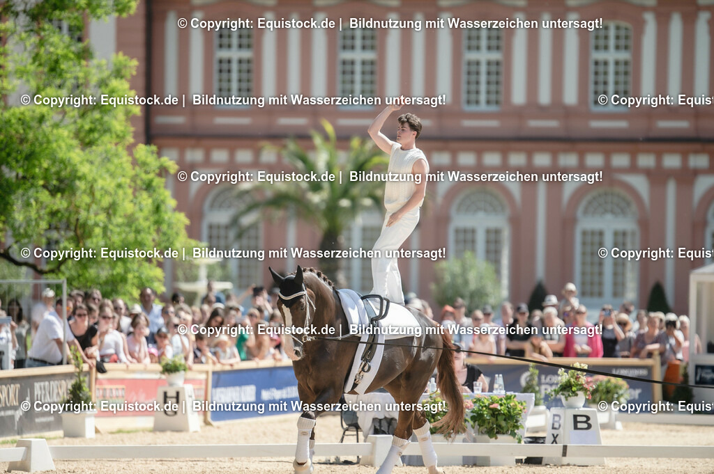 20230528_Voltigieren_NASPA_0094 | equistock