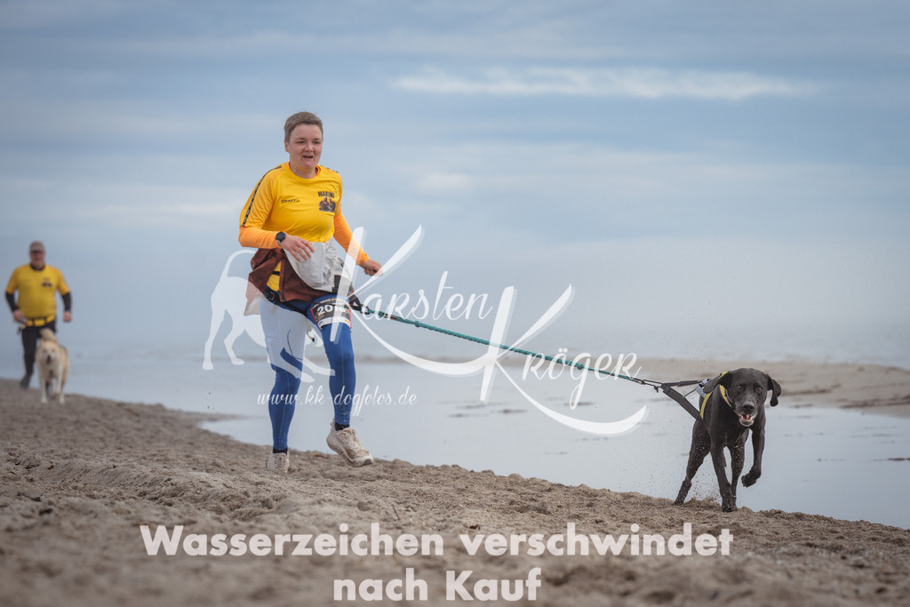 1147_ZZ91075 | kk-dogfotos
