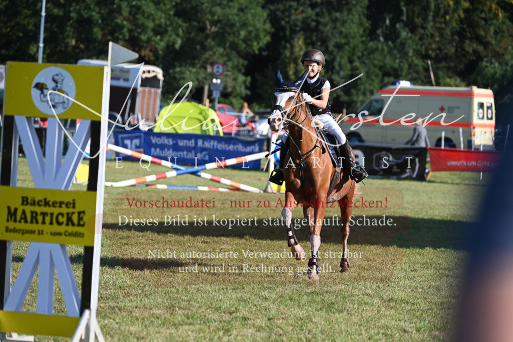 DSC_4955 | Pferde- und Turnierfotografie in Westsachsen. Pferdeportraits, Auftragszeichnungen und intuitive Kunst.