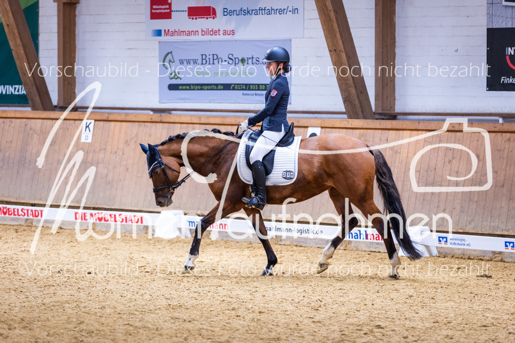 Sth-A-Dre-2St-233 | MomenTaufnahmen Pferdesportfotos