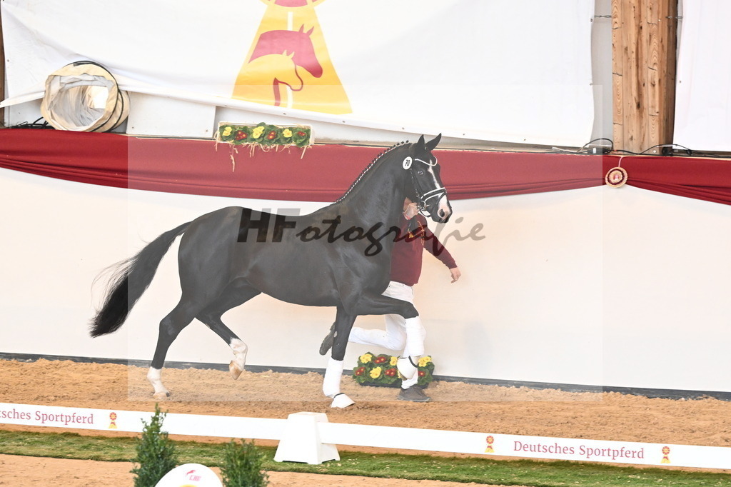 Kat.-Nr. 70 v. Totilas_Fischer_2241037 | hf-fotografie - Realisiert mit Pictrs.com