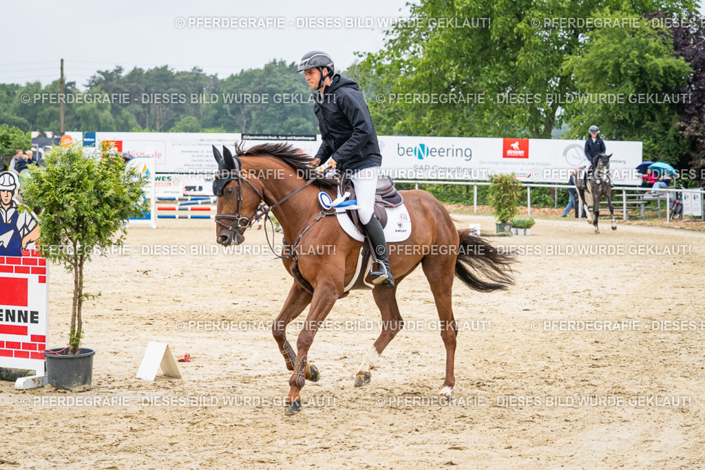 DSC01069 | Pferdegrafie