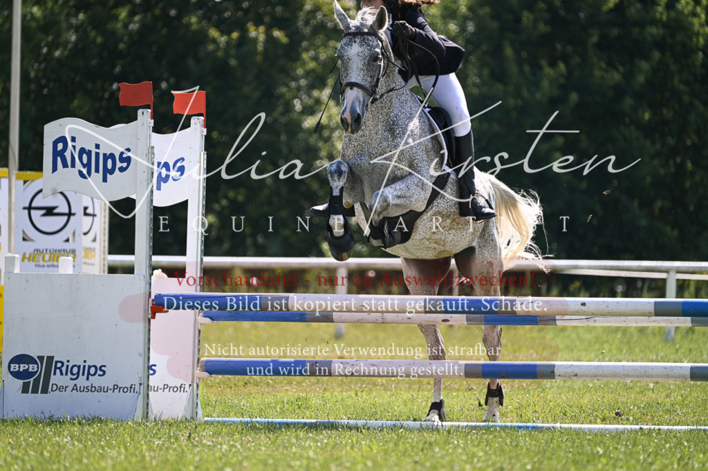 DSC_8986 | Pferde- und Turnierfotografie in Westsachsen. Pferdeportraits, Auftragszeichnungen und intuitive Kunst.