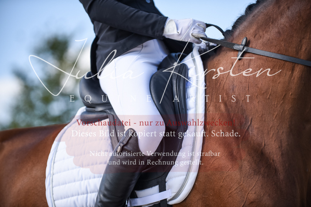 DSC_9478 | Pferde- und Turnierfotografie in Westsachsen. Pferdeportraits, Auftragszeichnungen und intuitive Kunst.