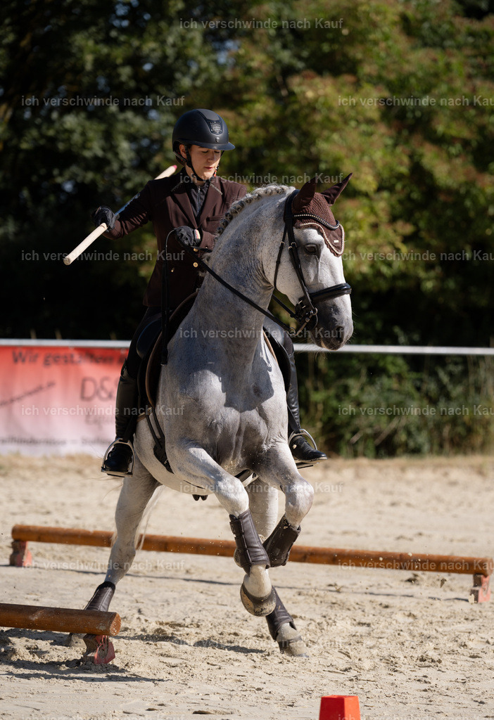 WM_ST_143_stoibphotography__SO10241 | working equitationturnier fotograf videograf stoibphotography marixx film working equitation deutschland reitsport turnierfotografie eventfotografie equestrian events