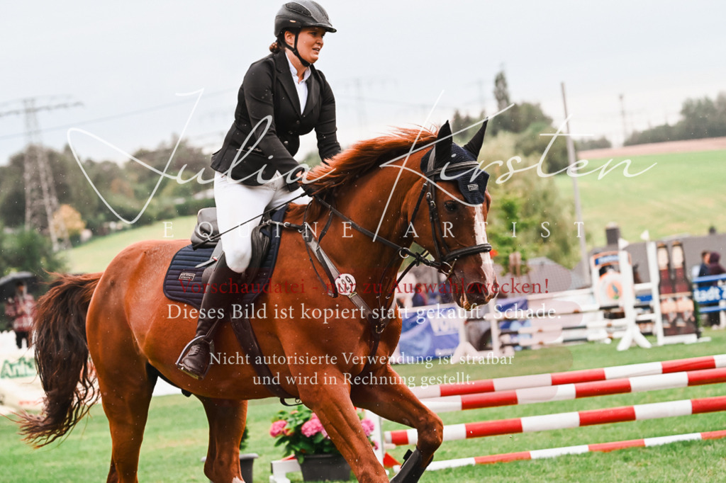 DSC_6435 | Pferde- und Turnierfotografie in Westsachsen. Pferdeportraits, Auftragszeichnungen und intuitive Kunst.