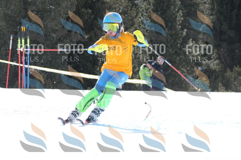 C8822 | holidayphoto