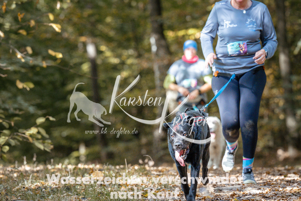1310_ZZ97516 | kk-dogfotos
