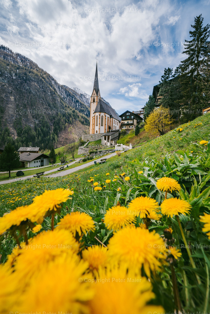 Frühling-Mölltal-26 | piet_flosse