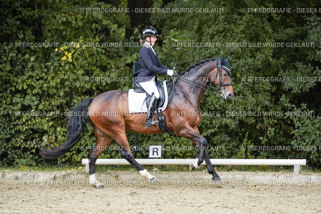 DSC06535 | Pferdegrafie