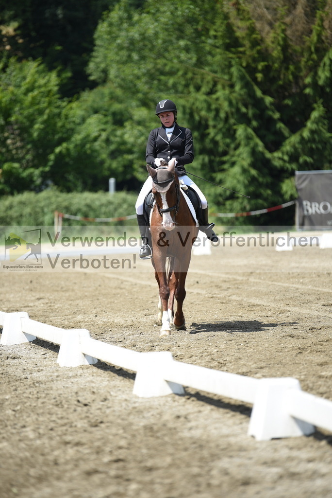 DSC_8817 | equestrian-live-com