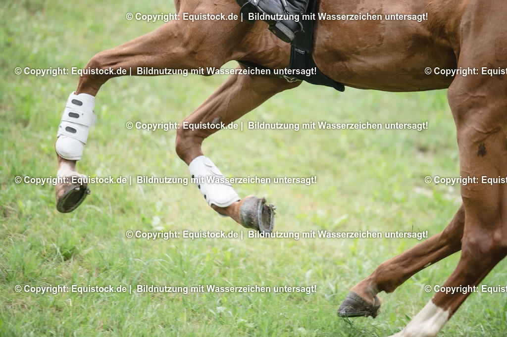 20250726_Vielseitigkeitslehrgang-Marbach_0261 | Foto: Thomas Hartig